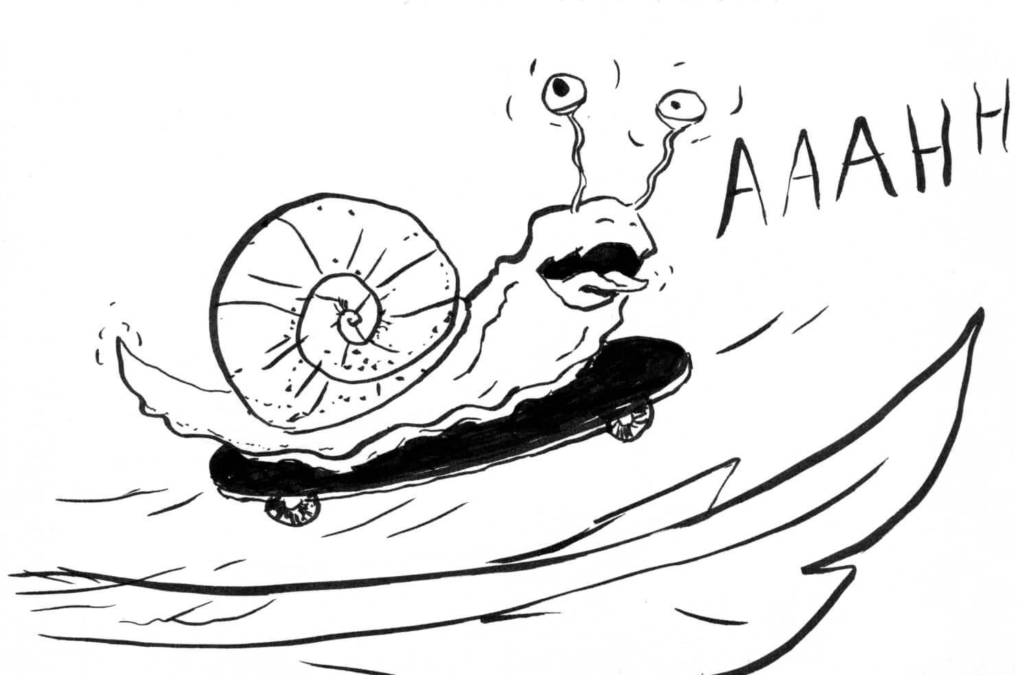 schreiende Schnecke auf Skateboard